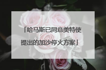 哈马斯已同意美特使提出的加沙停火方案